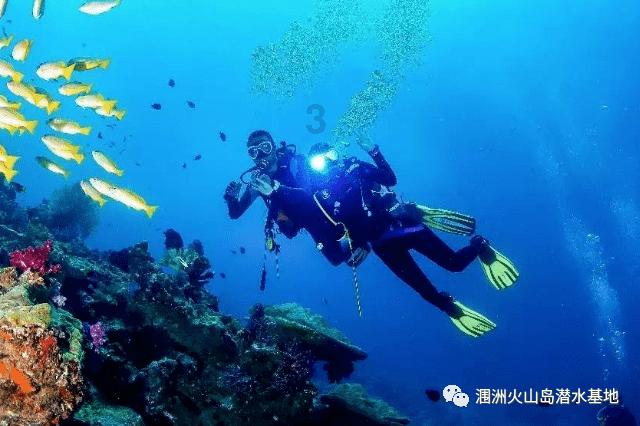 如果我放弃这份工作,我父母会同意吗?-专业问答平台,为您解忧答疑